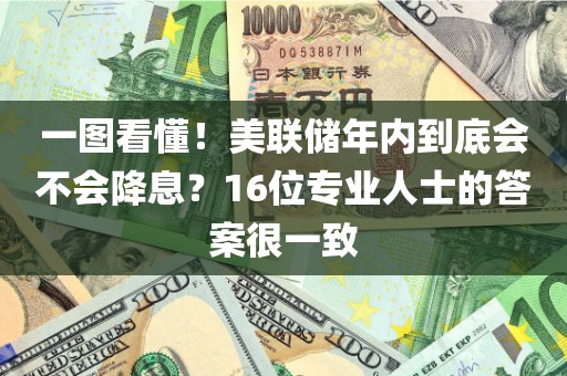 一图看懂！美联储年内到底会不会降息？16位专业人士的答案很一致