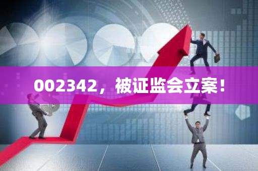 002342，被证监会立案！