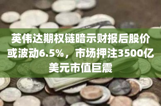 英伟达期权链暗示财报后股价或波动6.5%，市场押注3500亿美元市值巨震