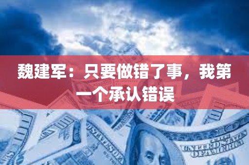 魏建军：只要做错了事，我第一个承认错误