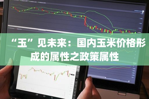 “玉”见未来：国内玉米价格形成的属性之政策属性