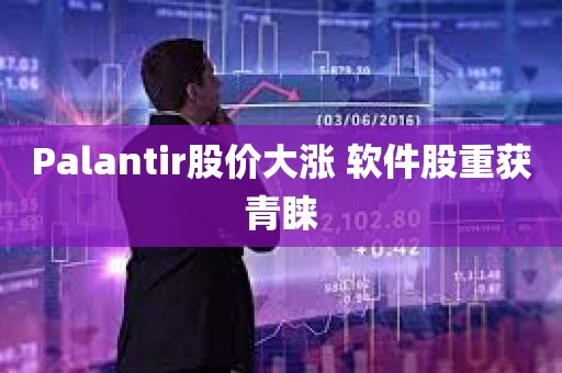 Palantir股价大涨 软件股重获青睐
