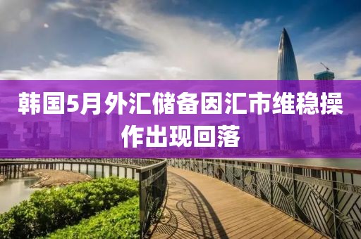 韩国5月外汇储备因汇市维稳操作出现回落