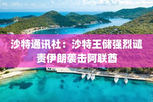沙特通讯社：沙特王储强烈谴责伊朗袭击阿联酋