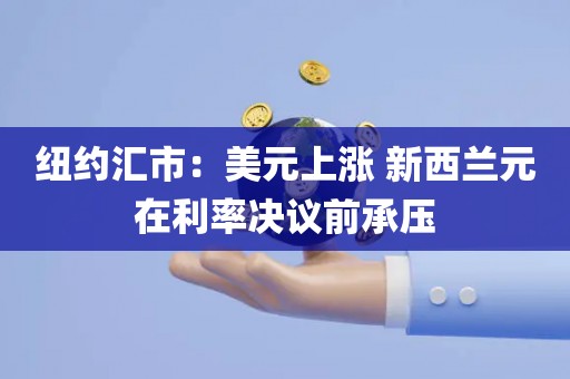 纽约汇市：美元上涨 新西兰元在利率决议前承压