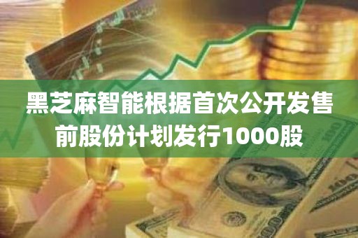 黑芝麻智能根据首次公开发售前股份计划发行1000股