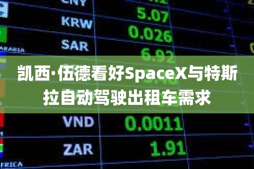 凯西·伍德看好SpaceX与特斯拉自动驾驶出租车需求