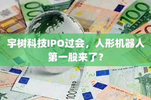 宇树科技IPO过会，人形机器人第一股来了？