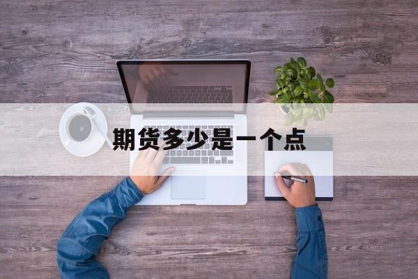 期货多少是一个点