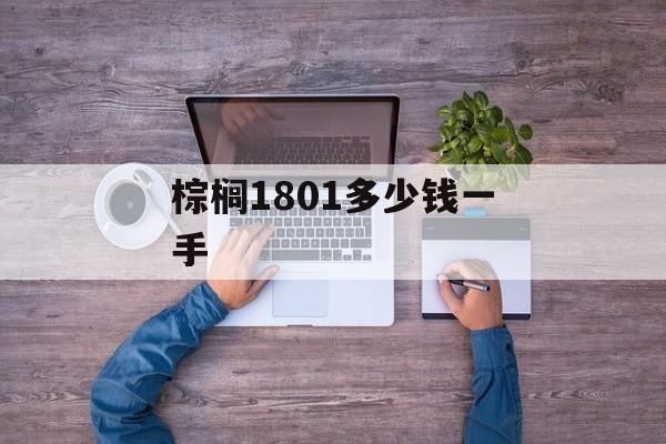 棕榈1801多少钱一手