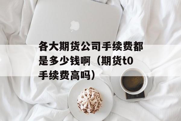 各大期货公司手续费都是多少钱啊（期货t0手续费高吗）