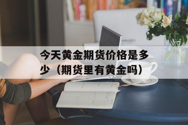 今天黄金期货价格是多少（期货里有黄金吗）