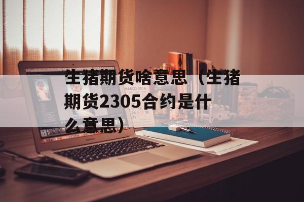 生猪期货啥意思（生猪期货2305合约是什么意思）