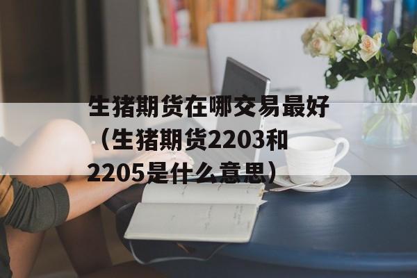 生猪期货在哪交易最好（生猪期货2203和2205是什么意思）