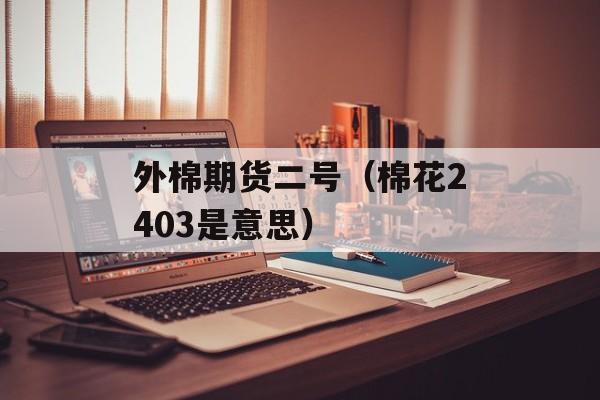 外棉期货二号（棉花2403是意思）