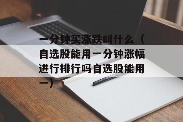 一分钟买涨跌叫什么（自选股能用一分钟涨幅进行排行吗自选股能用一）