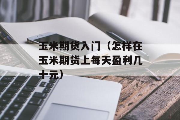 玉米期货入门（怎样在玉米期货上每天盈利几十元）
