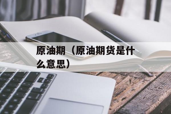 原油期（原油期货是什么意思）