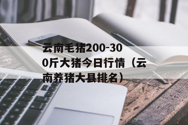 云南毛猪200-300斤大猪今日行情（云南养猪大县排名）
