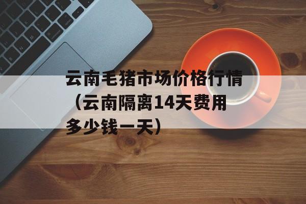 云南毛猪市场价格行情（云南隔离14天费用多少钱一天）