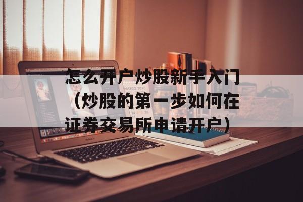 怎么开户炒股新手入门（炒股的第一步如何在证券交易所申请开户）