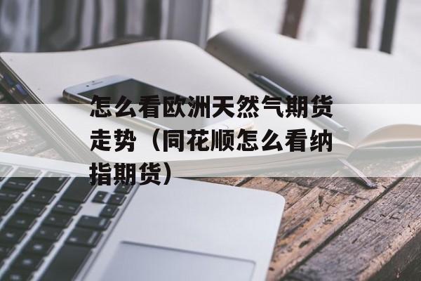 怎么看欧洲天然气期货走势（同花顺怎么看纳指期货）