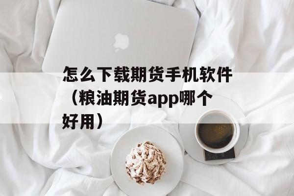 怎么下载期货手机软件（粮油期货app哪个好用）
