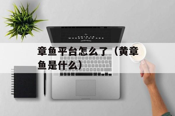 章鱼平台怎么了（黄章鱼是什么）