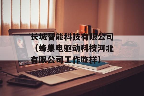 长城智能科技有限公司（蜂巢电驱动科技河北有限公司工作咋样）