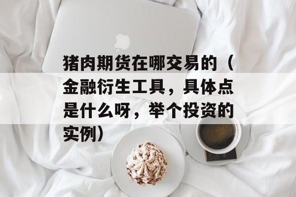 猪肉期货在哪交易的（金融衍生工具，具体点是什么呀，举个投资的实例）