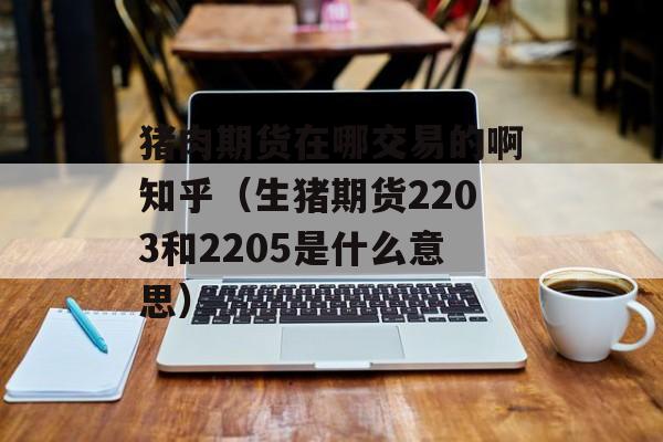 猪肉期货在哪交易的啊知乎（生猪期货2203和2205是什么意思）