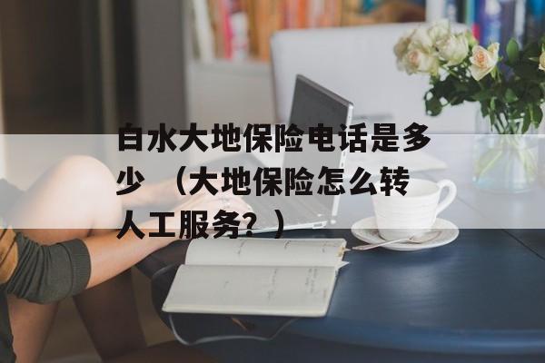 白水大地保险电话是多少 （大地保险怎么转人工服务？）