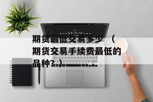 期货最低交易多少 （期货交易手续费最低的品种？）