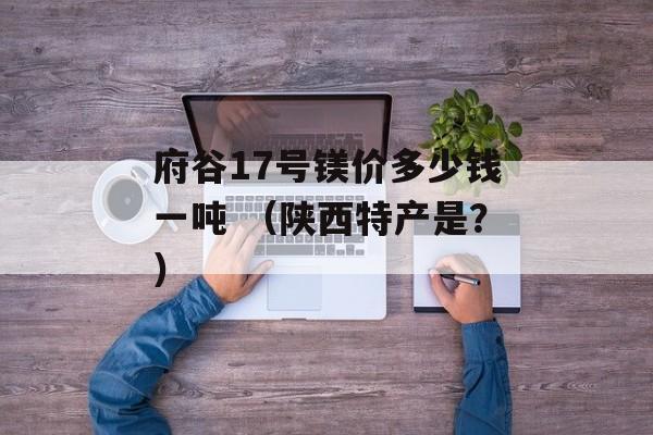 府谷17号镁价多少钱一吨 （陕西特产是？）