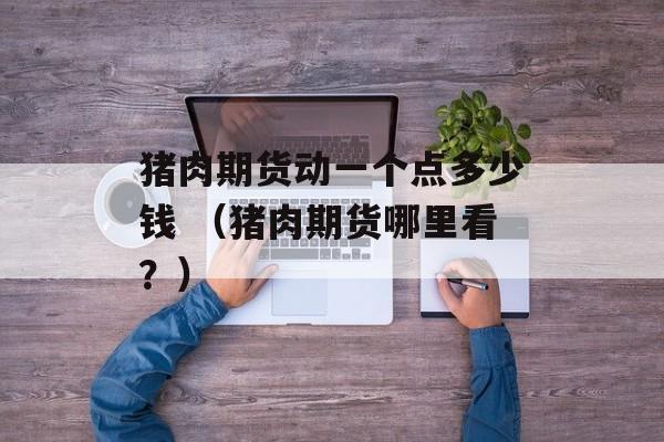 猪肉期货动一个点多少钱 （猪肉期货哪里看？）