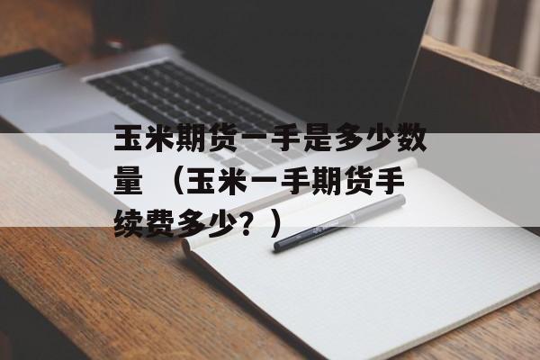 玉米期货一手是多少数量 （玉米一手期货手续费多少？）