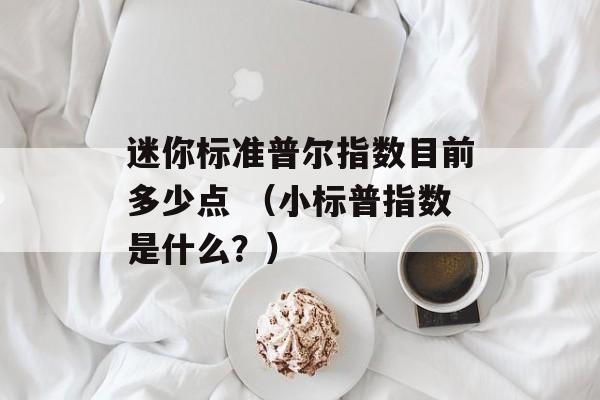 迷你标准普尔指数目前多少点 （小标普指数是什么？）