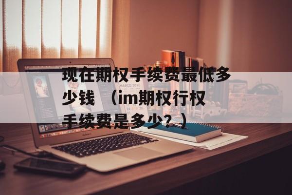 现在期权手续费最低多少钱 （im期权行权手续费是多少？）