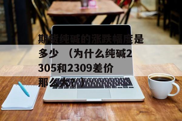 期货纯碱的涨跌幅度是多少 （为什么纯碱2305和2309差价那么大？）