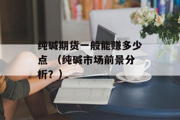 纯碱期货一般能赚多少点 （纯碱市场前景分析？）