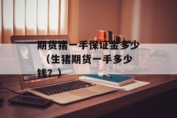 期货猪一手保证金多少 （生猪期货一手多少钱？）