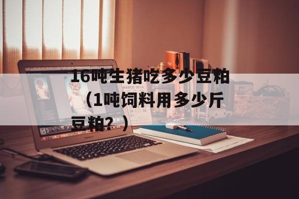 16吨生猪吃多少豆粕 （1吨饲料用多少斤豆粕？）