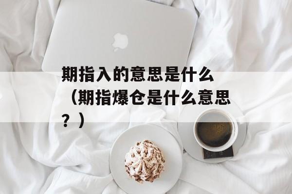 期指入的意思是什么 （期指爆仓是什么意思？）