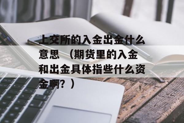 上交所的入金出金什么意思 （期货里的入金和出金具体指些什么资金啊？）