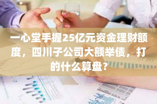 一心堂手握25亿元资金理财额度，四川子公司大额举债	，打的什么算盘？