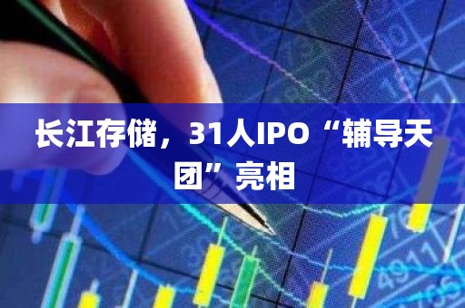 长江存储，31人IPO“辅导天团”亮相