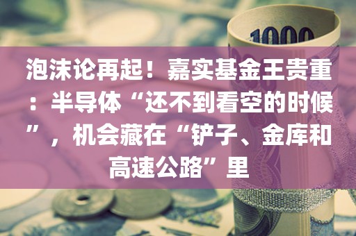 泡沫论再起！嘉实基金王贵重：半导体“还不到看空的时候	”，机会藏在“铲子、金库和高速公路”里