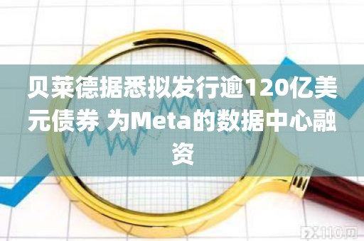 贝莱德据悉拟发行逾120亿美元债券 为Meta的数据中心融资 贝莱德据悉拟发行逾120亿美元债券 为Meta的数据中心融资