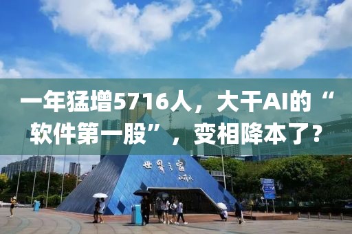 一年猛增5716人，大干AI的“软件第一股”，变相降本了？