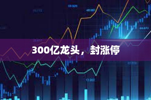 300亿龙头	，封涨停